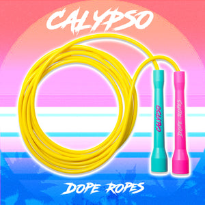 The Dope Rope 2.0 - Cardio Fitness Jump Rope